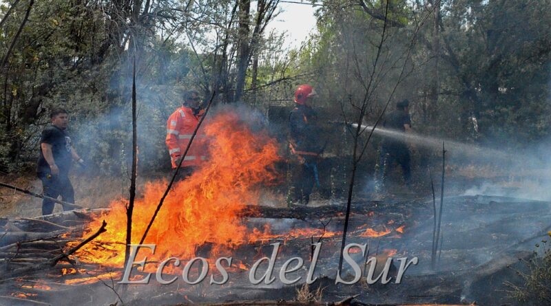 Incendio arraso con la vegetación y galpones en zona de chacras de Caleta Olivia