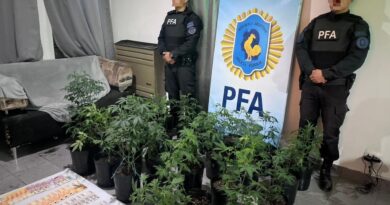 Desarticulan un cultivo indoor de marihuana tras un allanamiento en Caleta Olivia