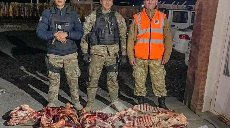 Abigeato en Santa Cruz: transportaba dos vacas faenadas en una camioneta y quedó detenido