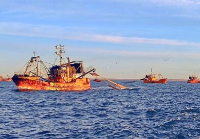 Pesca: Quedó oficialmente habilitada la apertura de la temporada de langostino 2026