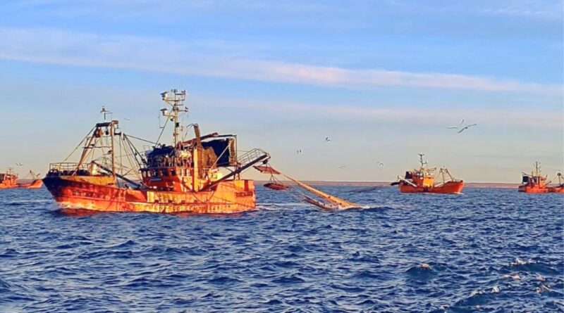 Pesca: Quedó oficialmente habilitada la apertura de la temporada de langostino 2026