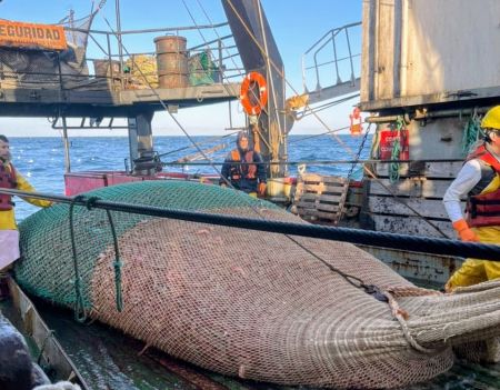 Pesca: Santa Cruz suma observadores provinciales a la prospección de langostino