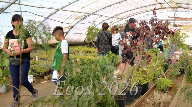 Invitan a celebrar aniversario del Mercado Agroecológico