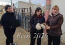Piden justicia por estibador que murió al ser golpeado por patota