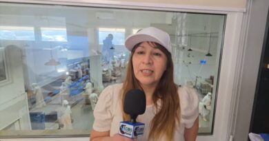 Iris Casas: preocupación por la posible reducción de actividad en la pesquera Del Sud y el impacto laboral