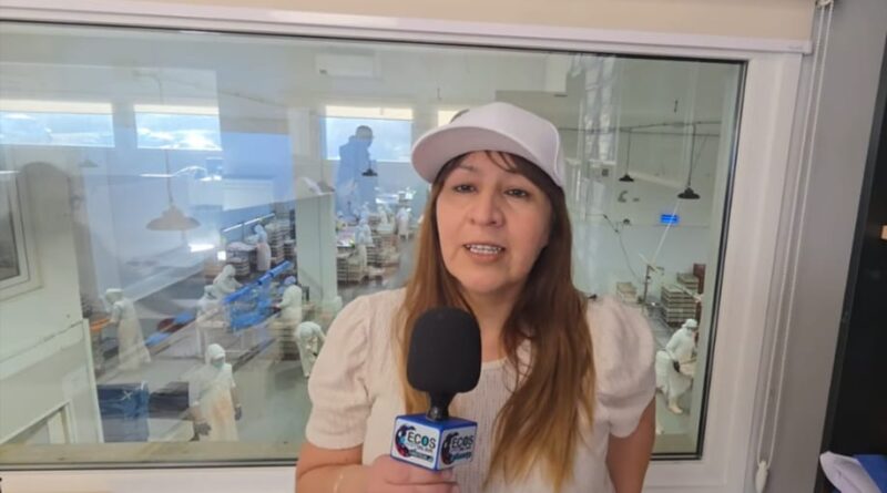Iris Casas: preocupación por la posible reducción de actividad en la pesquera Del Sud y el impacto laboral