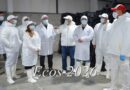 Iris Casas: preocupación por la posible reducción de actividad en la pesquera Del Sud y el impacto laboral