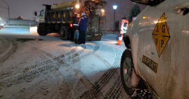 Se realizan tareas de despeje de nieve sobre la Ruta Complementaria Nº 20