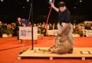 La esquila santacruceña fue protagonista en la Expo Rural de Palermo