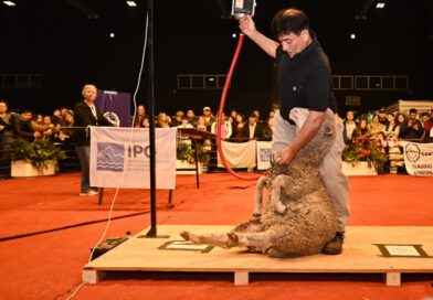 La esquila santacruceña fue protagonista en la Expo Rural de Palermo