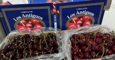 La cereza de Los Antiguos se prepara para su primera exportación con sello propio