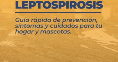Leptospirosis: Recomendaciones para prevenir el contagio