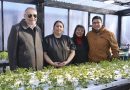 Santa Cruz Produce: hidroponía, tecnología y trabajo para impulsar la producción local
