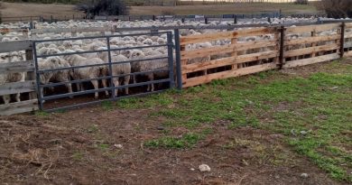 El Consejo Agrario Provincial lleva adelante medidas de prevención