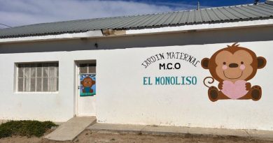 Preocupación en el Jardín Maternal Monoliso: denuncian presencia de chinches y piden suspender las actividades