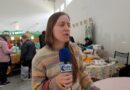“Azafrán” en Caleta Olivia: un emprendimiento familiar logró multiplicar la producción y ya va por su tercera cosecha