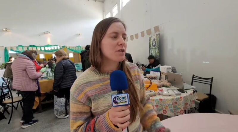“Azafrán” en Caleta Olivia: un emprendimiento familiar logró multiplicar la producción y ya va por su tercera cosecha