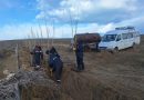 El Chaltén: Dio comienzo la Forestación Estratégica
