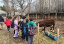 Impulsan jornadas pedagógicas y experiencias de articulación en Gobernador Gregores