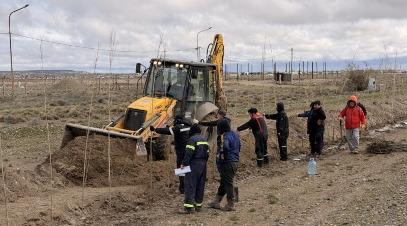 Forestación en el ingreso a Las Heras: comenzó un plan que contempla 10.000 árboles