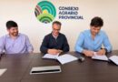 Provincia amplía experiencias con maíz para una producción forrajera