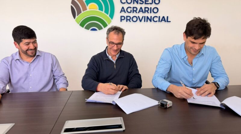 Provincia amplía experiencias con maíz para una producción forrajera
