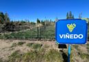 Punto Orgánico avanza con la instalación de un nuevo sistema de riego para su viñedo
