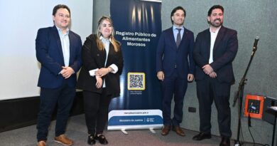 Santa Cruz participó del II Encuentro Federal de Registros de Deudores Alimentarios Morosos