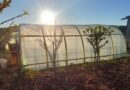 La Provincia concretó una nueva entrega de invernaderos sustentables en la Cuenca Carbonífera