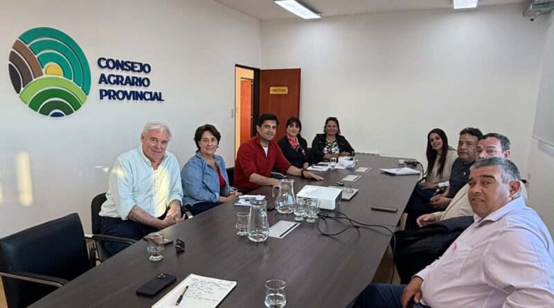 El Consejo Agrario y El Chaltén organizan una nueva Expo Campo Infantil