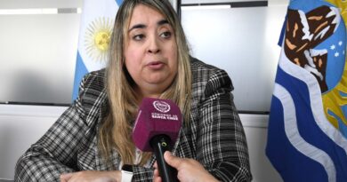 Santa Cruz realizará su Primera Jornada Provincial sobre guarda con fines adoptivos